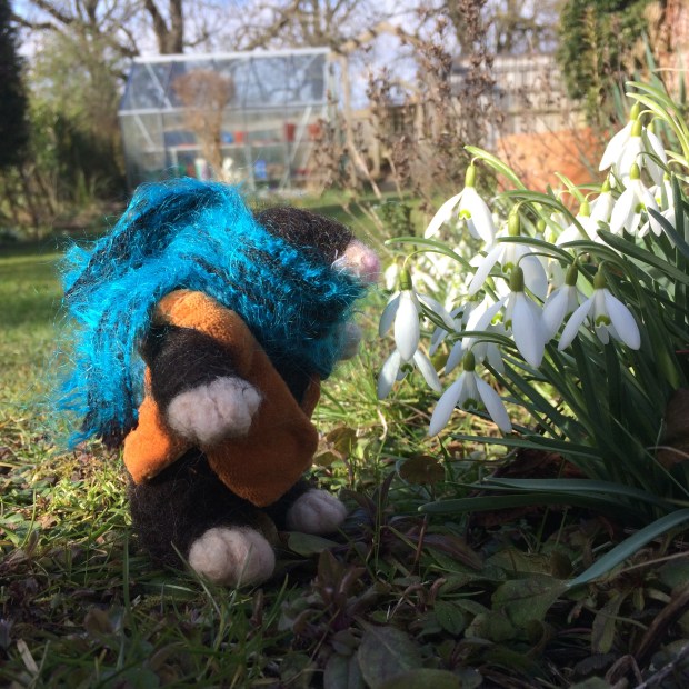 40289426932_8c4aa5e4df_o