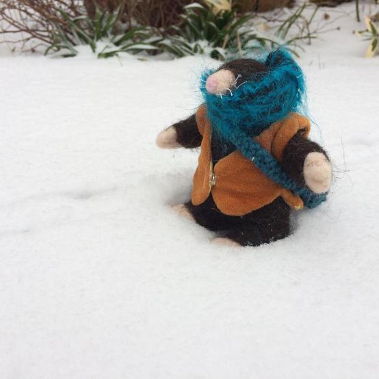 28337829_10215042033954698_788292367086995900_o