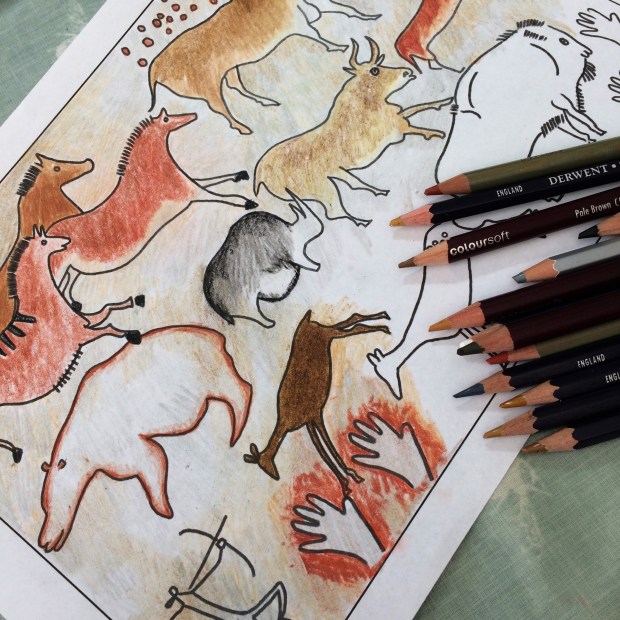 44081586022_4b414c8733_o